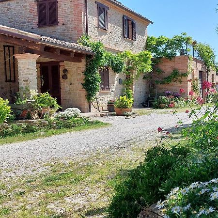 Casale San Martino Agriturismo Bio Sant'Angelo in Pontano Zewnętrze zdjęcie