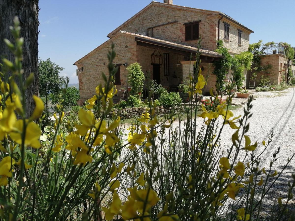 Casale San Martino Agriturismo Bio Sant'Angelo in Pontano Zewnętrze zdjęcie