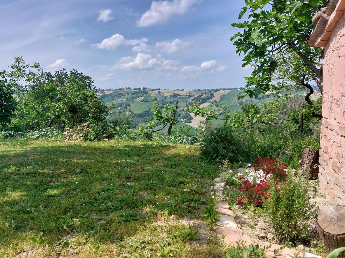 Casale San Martino Agriturismo Bio Sant'Angelo in Pontano Zewnętrze zdjęcie